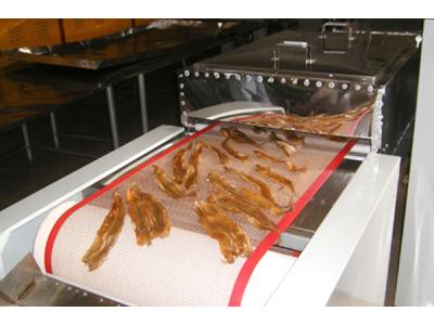 鱼片微波干燥设备